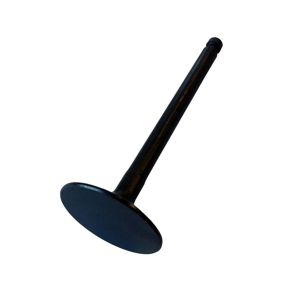 1Set Intake Valve 119620-11100 for Yanmar Engine 3TN66E-G2 3TN66E-S 3TN66E-YL 3TN66L-UHW 3TNA68L-UFWA 3TNA68L-UHW Komtsu 3D72-2B 3D72-2BA 3D72-2C 3D72-2E