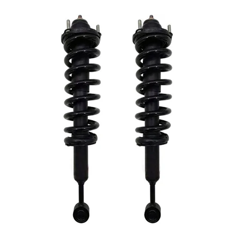 2 Pcs Front Shock Absorber Strut 48510-69195 for Toyota Land Cruise Lexus GX470 - KUDUPARTS