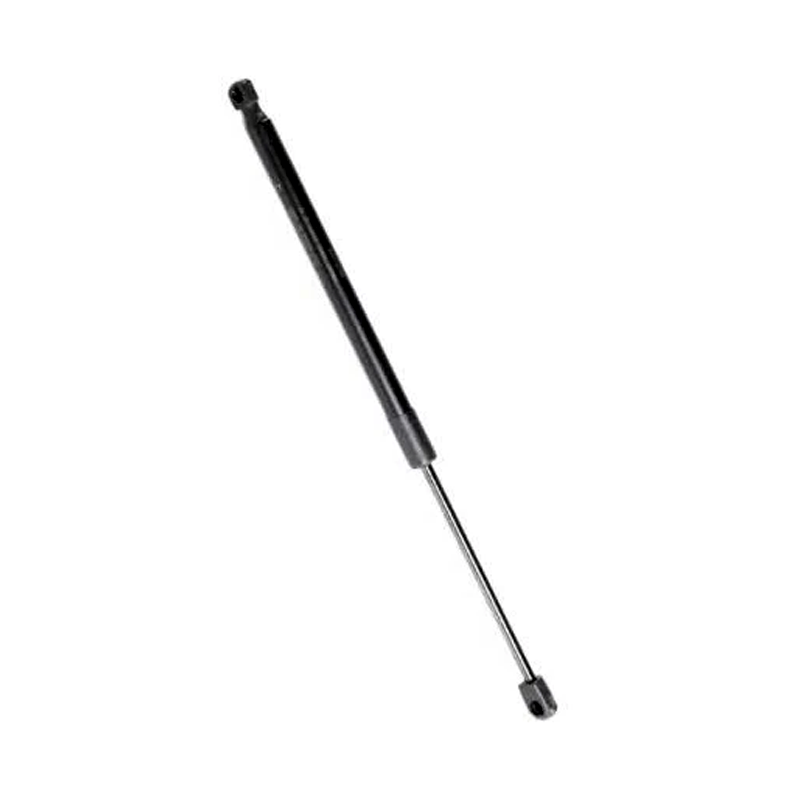 2 Pieces Lift Support Shock Strut 68276312AB for Ram 1500 2019-2026