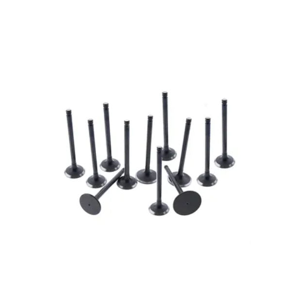 1 Set Intake & Exhaust Valves for Kubota S2800 Engine M4950DT Tractor - KUDUPARTS