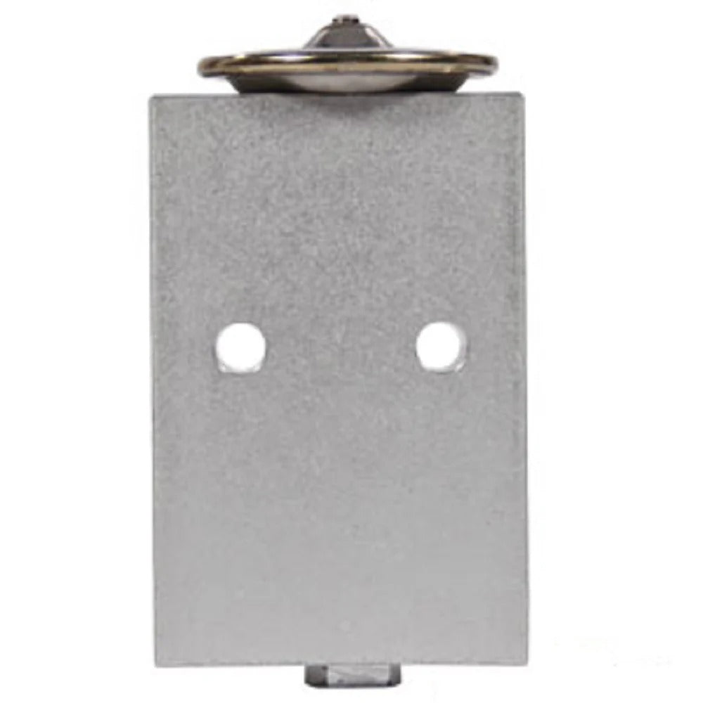 Expansion Valve 98370C3 for CASE 7110 7120 7130 7140 7150 9210 9230 9240 9250 9260 9270 9280 - KUDUPARTS