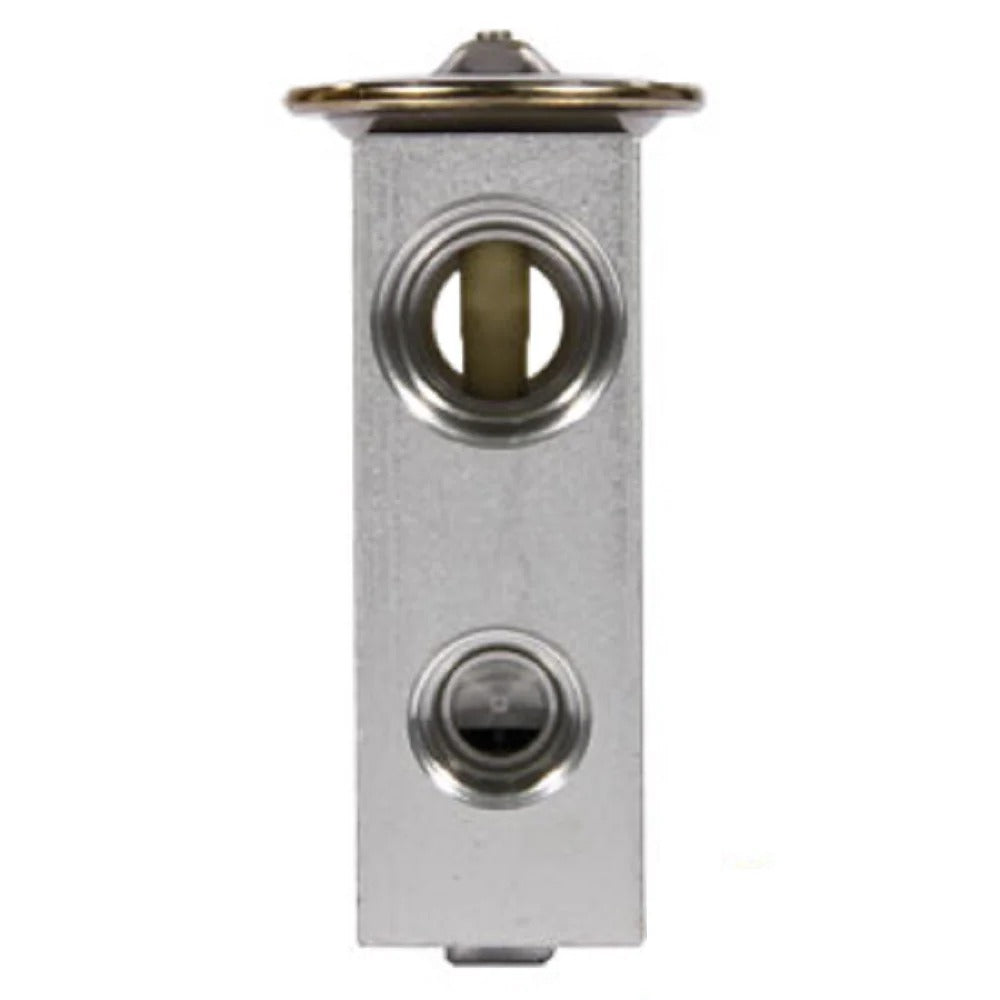 Expansion Valve 98370C3 for CASE 7110 7120 7130 7140 7150 9210 9230 9240 9250 9260 9270 9280 - KUDUPARTS