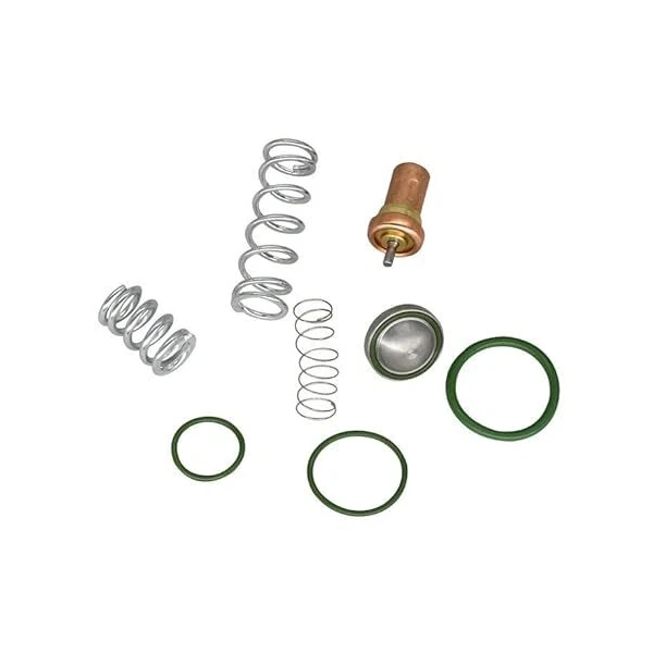 Air Compressor Thermostatic Minimum Pressure Valve Repair Kit 2901109500 for Atlas Copco - KUDUPARTS