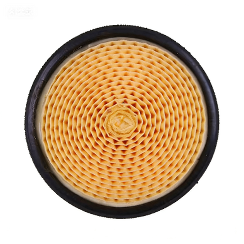 Air Filter 6.4161.0 for Kaeser Air Compressor SK15 SK20 SK21 SK24