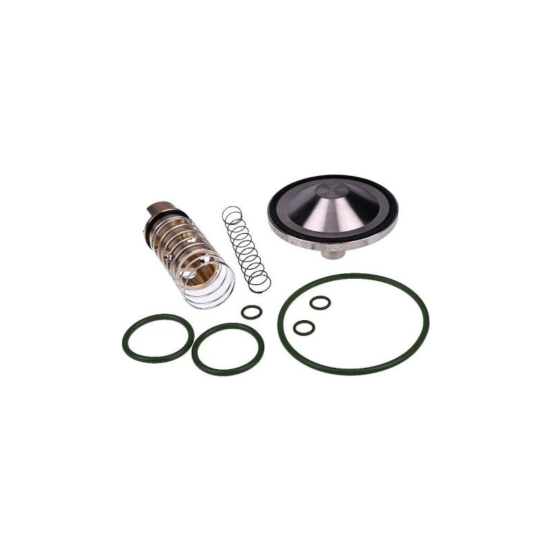 Check Valve Kit 2901-2020-00 2901202000 for Atlas Copco Screw Air Compressor C90 GA30+ - KUDUPARTS
