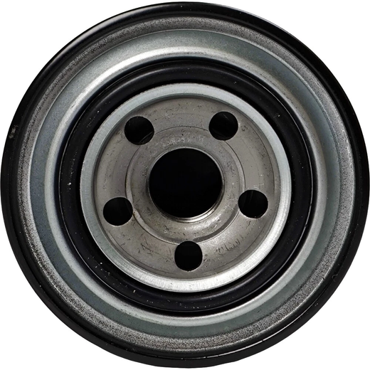 Fuel Filter P550643 - Replaces Donaldson - KUDUPARTS
