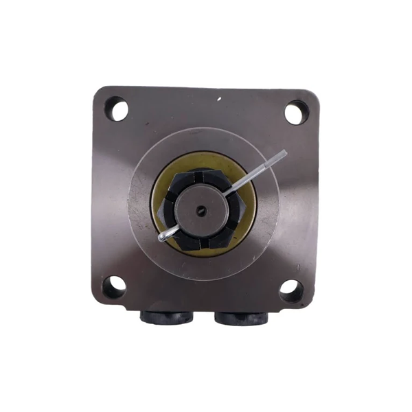 Moteur hydraulique 500120W3122AAAAA pour blanc