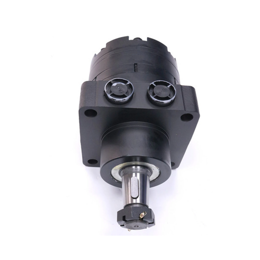 Hydraulic Motor 500250W3122AAAAA for White 500 Series - KUDUPARTS