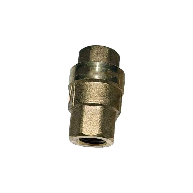SIZE1/4PN1.6 Check Valve 2104100094 for Fusheng Air Compressor - KUDUPARTS