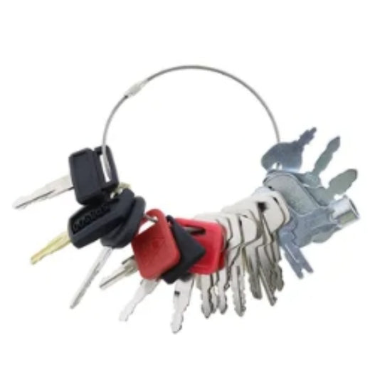 21 Pcs Ignition Key for CASE Caterpillar CAT Komatsu John Deere Heavy Equipment - KUDUPARTS