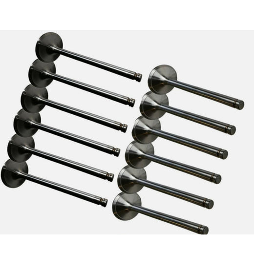 1 Set Exhaust & Intake Valve for Cummins C8.3 Engine - KUDUPARTS