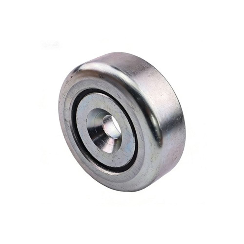 Mast Guide Roller Bearing 529.120.0001 for Princeton Teledyne Forklift - KUDUPARTS