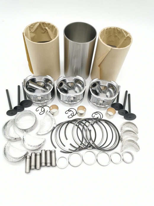 D902 Overhaul Rebuild Kit For Kubota Engine KX41-3 Excavator BX24 BX25 Tractor - KUDUPARTS