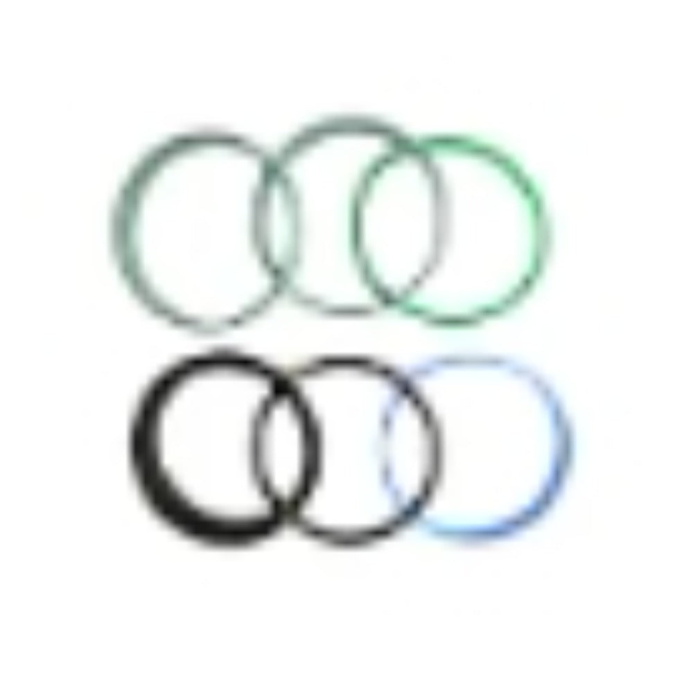 Hydraulic Cylinder Seal Repair Kit 84318585 for New Holland Loader B100B B110B B110C B115B B90B - KUDUPARTS