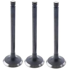 For Yanmar 3TNE84 3TNE84T Komatsu 3D84E Intake Valve 3PCS YM129100-11100 - KUDUPARTS