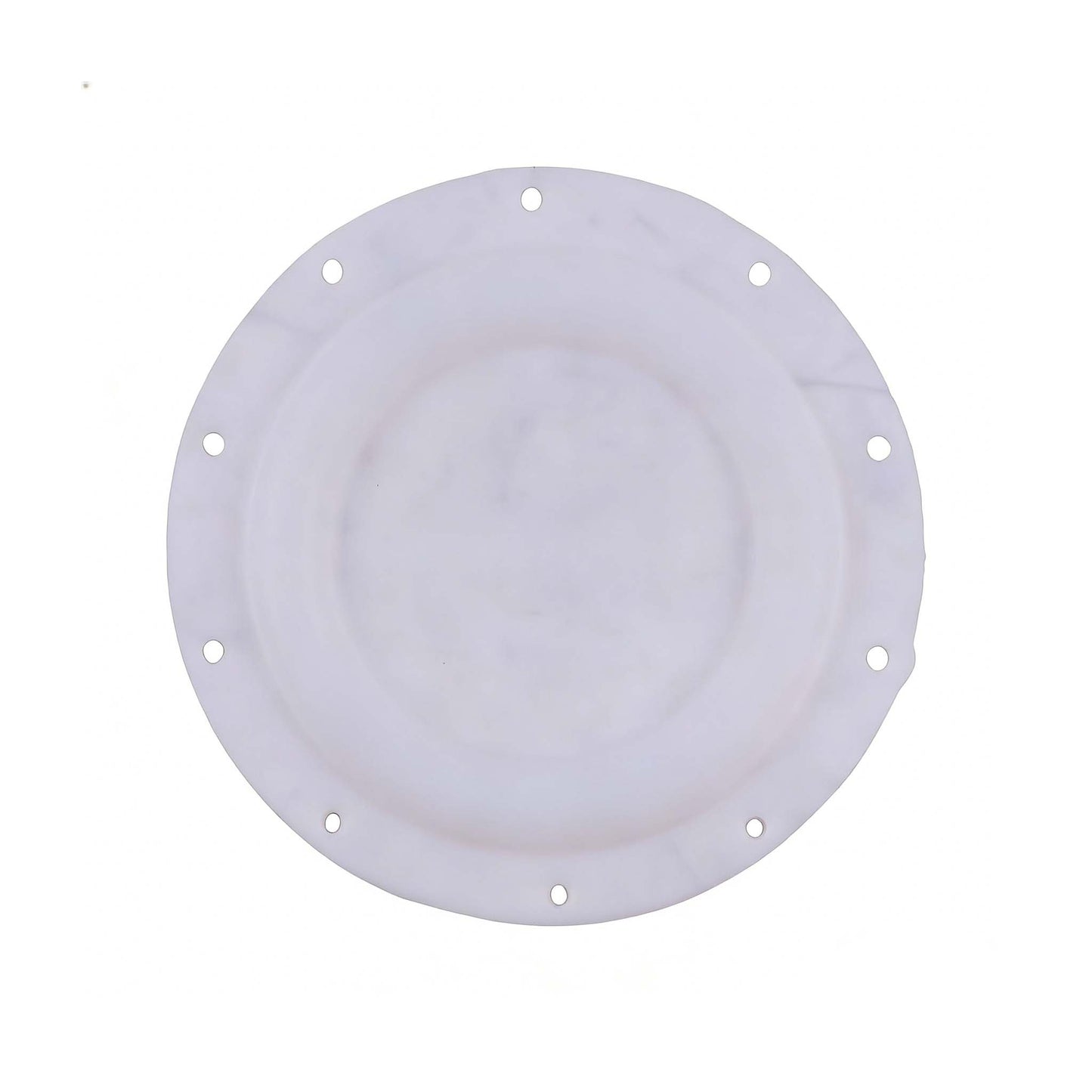 1.5-Inch White Teflon Diaphragm Plate 94617 for Ingersoll Rand ARO Diaphragm Pump Pro-Series
