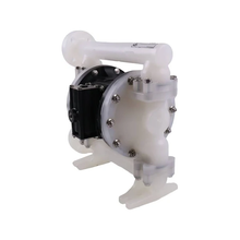 1" ARO Non-Metallic Expert Series Air Operated Diaphragm Pump PD10P-FPS-PAA for Chemical Industrial & Water/Wastewater Applications