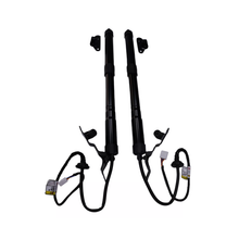 1 Pair Power Liftgate Actuator Assembly 68920-09080 68910-09110 for Toyota RAV4 2013-2018