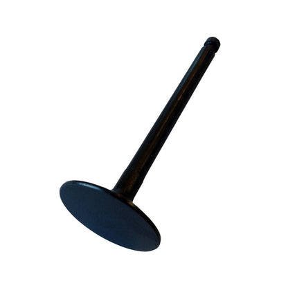 1Set Intake Valve 119620-11100 for Yanmar Engine 3TN66E-G2 3TN66E-S 3TN66E-YL 3TN66L-UHW 3TNA68L-UFWA 3TNA68L-UHW Komtsu 3D72-2B 3D72-2BA 3D72-2C 3D72-2E