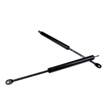 2 Lift Supports 3032EN FGN342 FGN343 for Yakima RocketBox