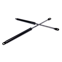 2 Lift Supports 3032EN FGN342 FGN343 for Yakima RocketBox