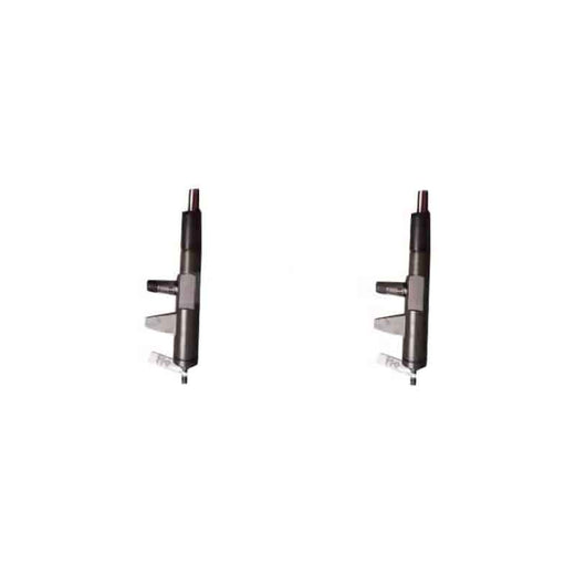 2 Pieces Fuel Injector 4175785 0432191706 04176037 for Deutz Engine F2L1011
