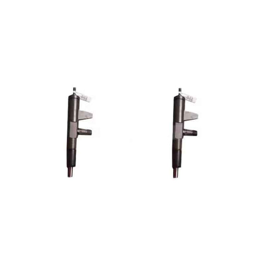 2 Pieces Fuel Injector 4175785 0432191706 04176037 for Deutz Engine F2L1011