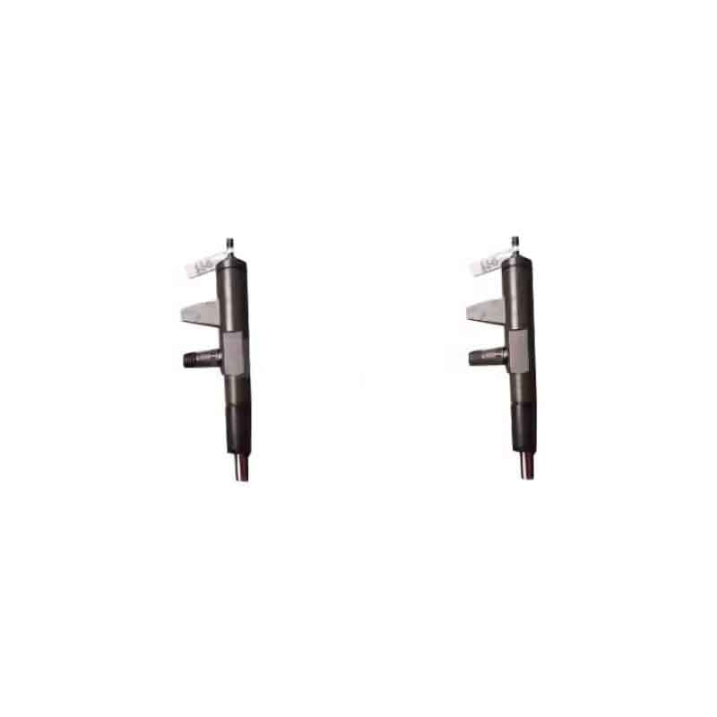 2 Pieces Fuel Injector 4175785 0432191706 04176037 for Deutz Engine F2L1011
