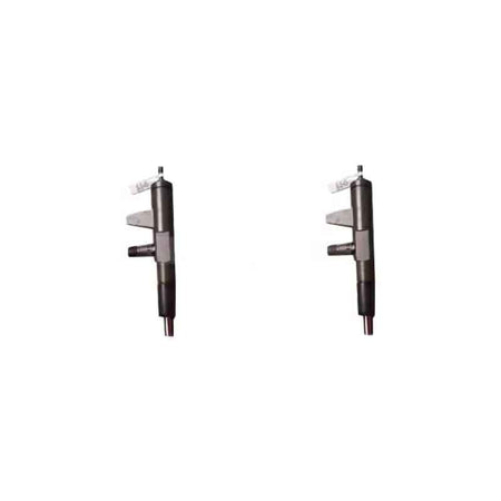 2 Pieces Fuel Injector 4175785 0432191706 04176037 for Deutz Engine F2L1011