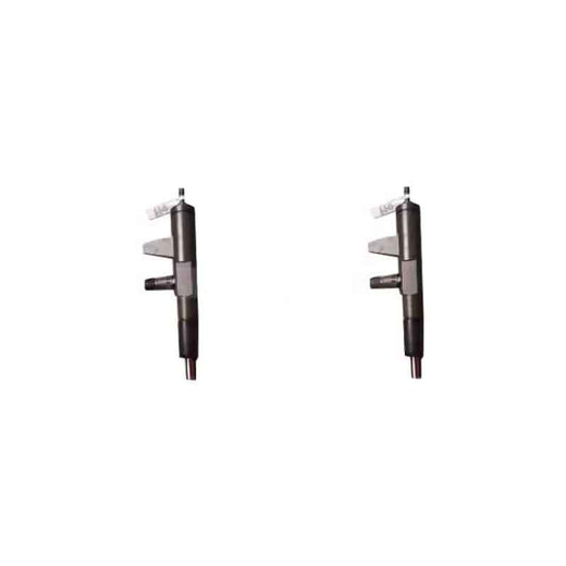 2 Pieces Fuel Injector 4175785 0432191706 04176037 for Deutz Engine F2L1011