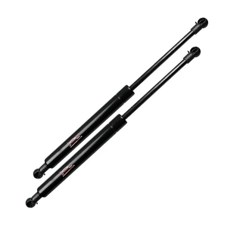 2 Pieces Lift Support Strut PM3511 for 2005-2018 Ford Mustang