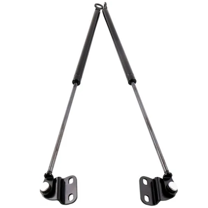 2 Pieces Rear Hatch Lift Supports SG226032 for Honda Civic CX EX GX HX LX Si 1996-2000 - KUDUPARTS