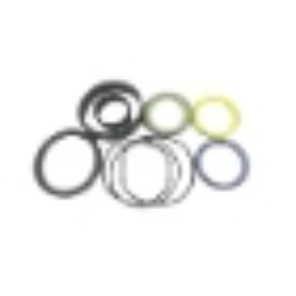 Hydraulic Cylinder Seal Kit 87432412 for New Holland Loader B95BTC B95TC - KUDUPARTS