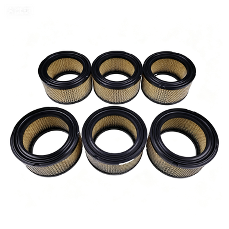 6 Pieces Air Filter Elements 110377E075 for Quincy Air Compressor QR-25 216
