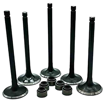 700ATV 700UTV ENGINE INLET & OUTLET VALVES AND STEM SEAL KIT