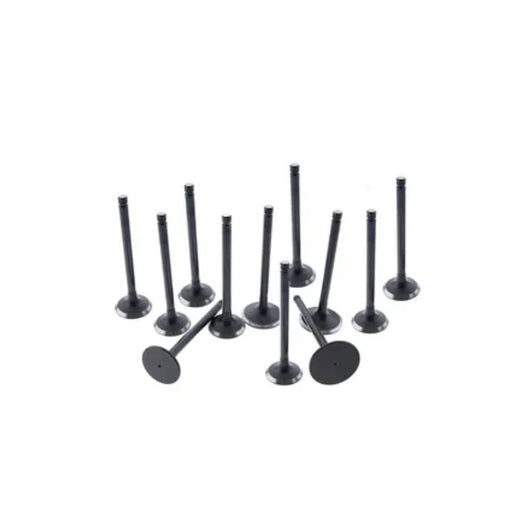 1 Set Intake & Exhaust Valves for Kubota S2800 Engine M4950DT Tractor - KUDUPARTS
