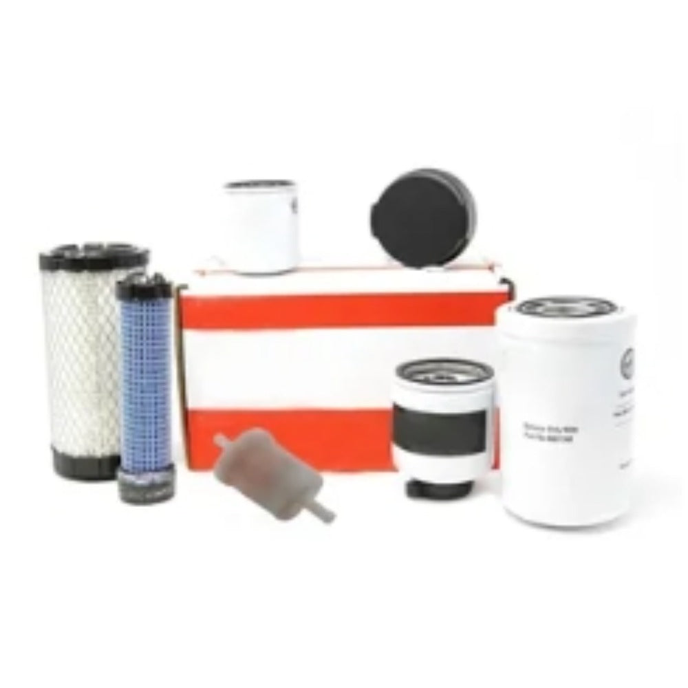 1000/2000 Hour Maintenance Filter Kit 7324350 for Bobcat Excavator E20 - KUDUPARTS