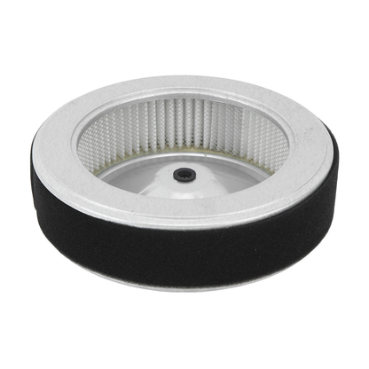 Air Filter 17210-Z6L-010 for Honda Engine GX630 GX660 GX690 Generator EB10000 EB10000AH