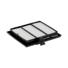 Aftermarket Baldwin PA30174 Wix WP10180 Cabin Air Filter - KUDUPARTS