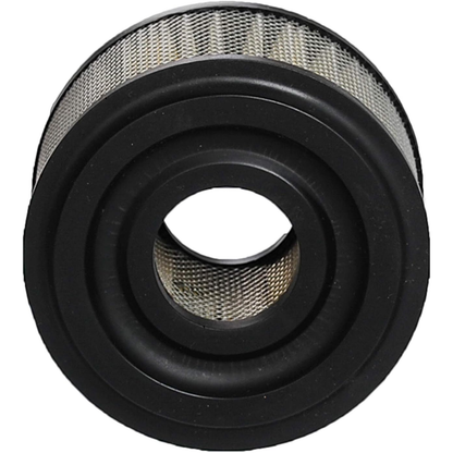 Air Cleaner Cartridge Filter 390492 100-099 46079 for Briggs & Stratton Engine 146400 170400 171400 190400 100201 100202Air Cleaner Cartridge Filter 390492 100-099 46079 for Briggs & Stratton Engine 146400 170400 171400 190400 100201 100202