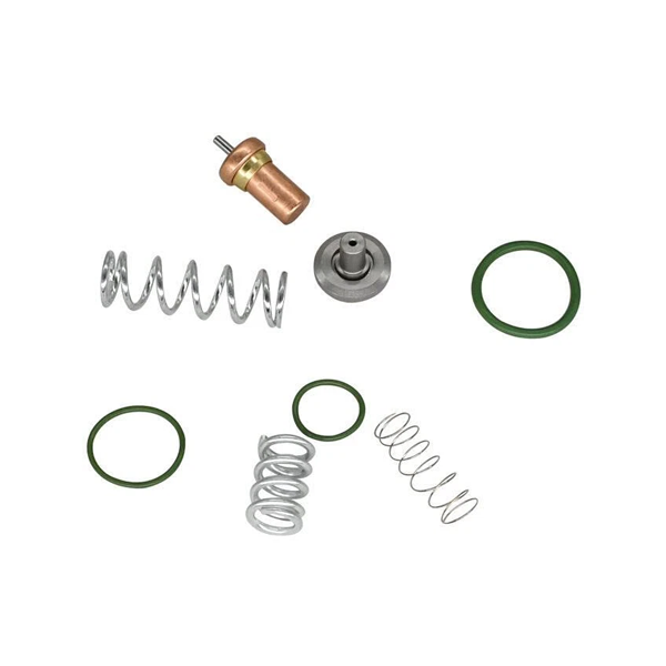 Air Compressor Thermostatic Minimum Pressure Valve Repair Kit 2901109500 for Atlas Copco