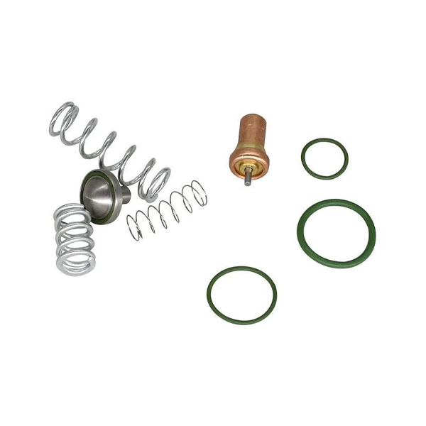 Air Compressor Thermostatic Minimum Pressure Valve Repair Kit 2901109500 for Atlas Copco - KUDUPARTS