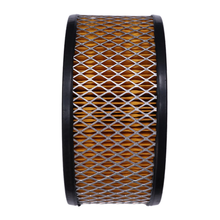 Air Filter 366-07188 for Lister Petter Engine TS1 TS2 TR1 TR2 LT1 LT2 LV1 LV2 - KUDUPARTS