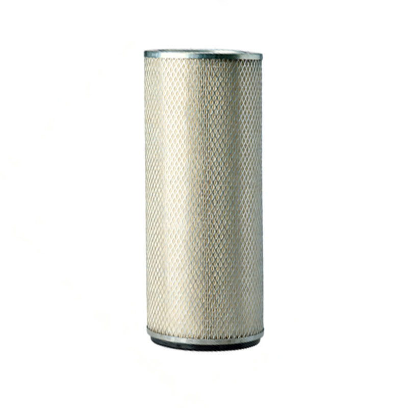 Air Filter P124860 - Replaces Donaldson