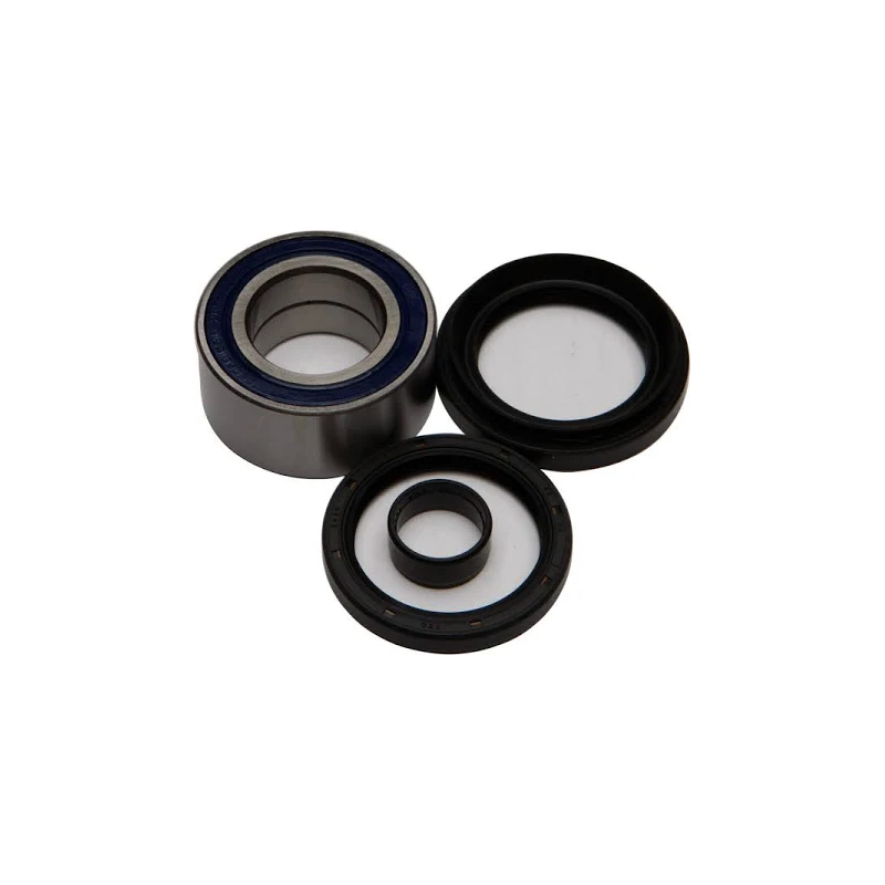 Bearing Kit 25-1004 for Honda ATV 1988-2000 TRX300FW Fourtrax 2007-2013 TRX420 FE TRX420 FM - KUDUPARTS