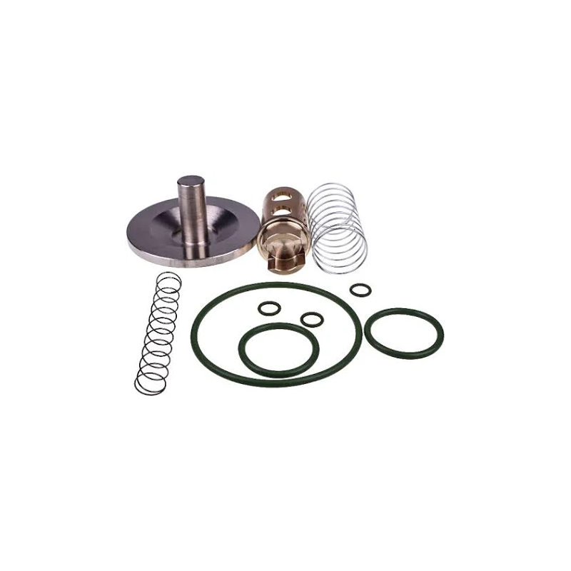 Check Valve Kit 2901-2020-00 2901202000 for Atlas Copco Screw Air Compressor C90 GA30+ - KUDUPARTS