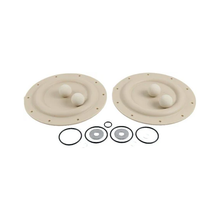 Diaphragm Pump Repair Kit 637124-EB for Pump 666161-8EB-C