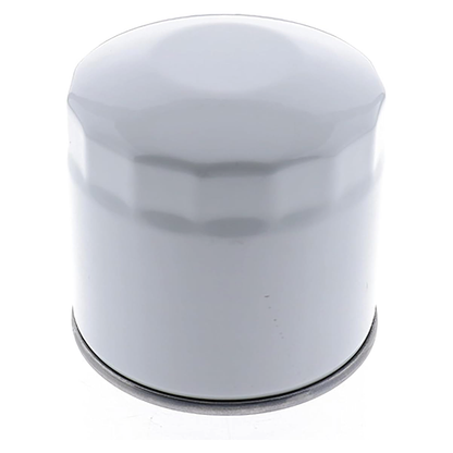 Fuel Filter 6640801 for Bobcat Backhoe Loader B100 B200 B250 B300 BL275 BL370 Excavator 220