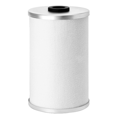 Fuel Filter FF5055 SN5055 P502131 for MAN Engine D2048MT