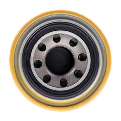 Fuel Filter P550774 - Replaces Donaldson